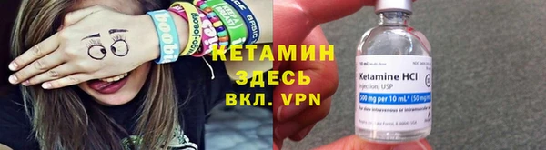 прущие грибы Богданович