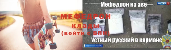 прущие грибы Богданович