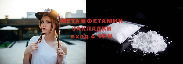 прущие грибы Богданович