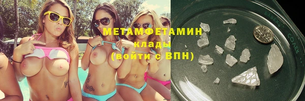 прущие грибы Богданович