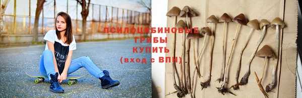 прущие грибы Богданович
