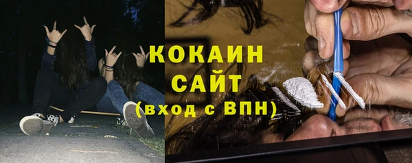 прущие грибы Богданович