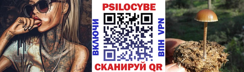 Купить  Красный Сулин  Галлюциногенные грибы GOLDEN TEACHER 